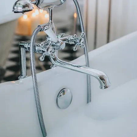 Paulina فيلة دوبروفينك